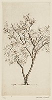 作品画像:一樹