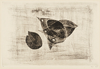 作品画像:飛んでいる鳥と木の葉