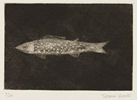 作品画像:小魚