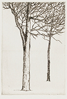 作品画像:二樹