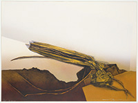 作品画像:NZ – No.15