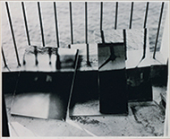 作品画像:Untitle C