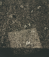 作品画像:転位 ’82-地-Ⅱ(秋)