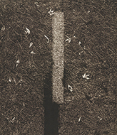 作品画像:転位 ’83-地-Ⅰ
