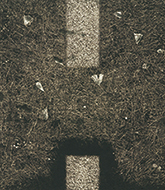 作品画像:転位 ’83-地-Ⅲ