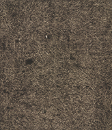 作品画像:転位 ’83-地-Ⅸ