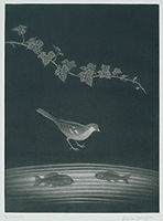 作品画像:小鳥と魚の友愛
