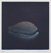 作品画像:貝