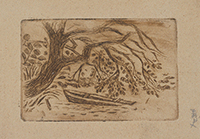 作品画像:水辺