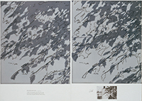 作品画像:TRANSIT