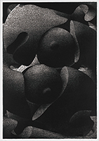 作品画像:No.46
