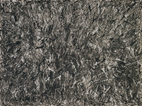 作品画像:無題