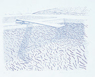 作品画像:リトグラフの水(線)
