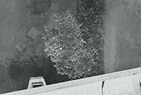 作品画像:S – “Kirchenfeldbrücke, Bern”