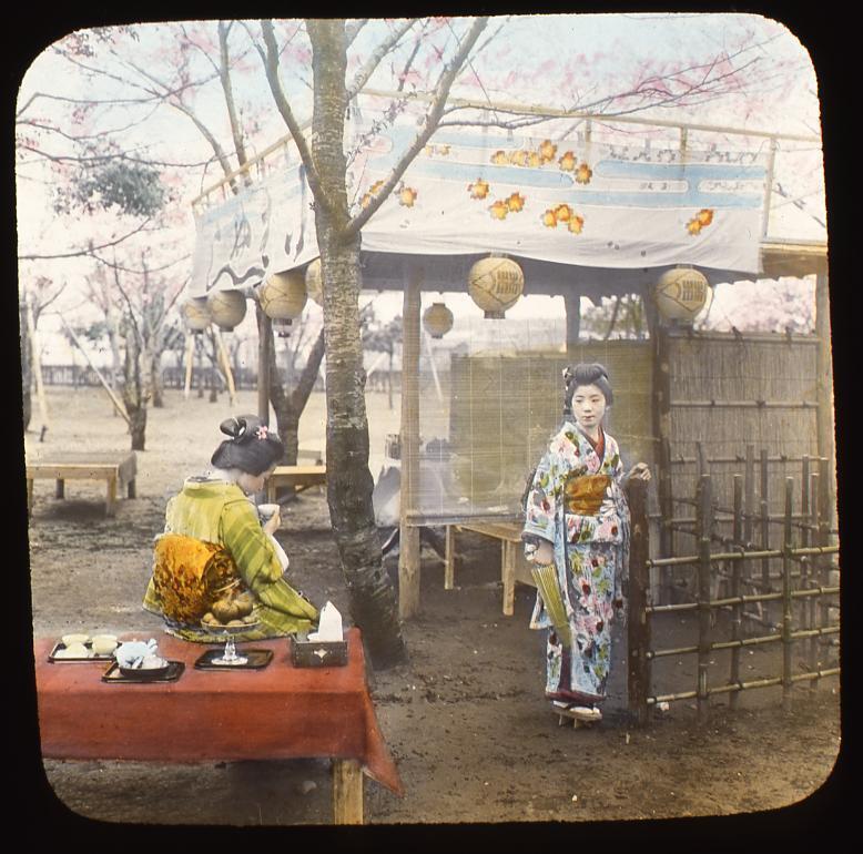 作品画像:花見をする女性たち