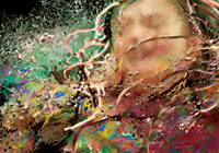 作品画像:Bloomy Girls