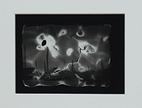作品画像:TYO – No.213P 江東区有明2 有明南埠頭公園から10号地方向
