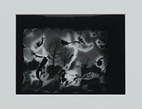 作品画像:TYO – No.225P 千代田区永田町1(憲政記念公園下、桜川濠寄り)