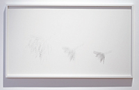 作品画像:track and trace (dragon fly)