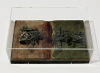 作品画像:生存競争 2