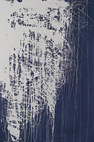 作品画像:PRUNUS SPACHIANA Ⅲ