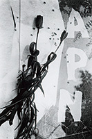 作品画像:「APN」(『アサヒグラフ』1953年12月2日号)のための構成