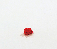 作品画像:knot (red)