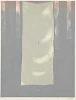 作品画像:WIND, please pass through this hole