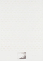 作品画像:Series – In front of, In back of – Portfolio-Eleven Great Masters – “brancusi”