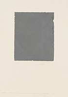 作品画像:Surface is the Between - Between Vertical and Horizon - “Field Horizon Silver”