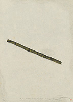 作品画像:Surface is the Between - Between Vertical and Horizon - “Paper Between a Twig and Water No.22”