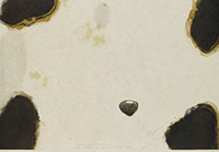 作品画像:Surface is the Between - Between Vertical and Horizon - “Paper Between a Snowed Stone and Water Stain”