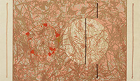 作品画像:Flower and Rope No.2