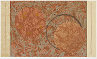 作品画像:Flower and Rope No.1