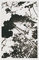 作品画像:Work “45” (A)
