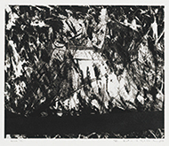 作品画像:Work “131”