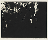作品画像:Work “134”