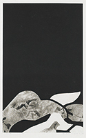 作品画像:Work “141”