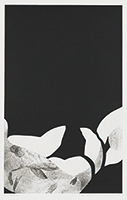 作品画像:Work “142”