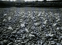 作品画像:無変律