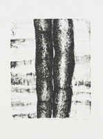 作品画像:AIWIP-1