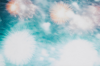 作品画像:HANABI fire works