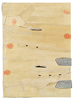 作品画像:驚くべき獣たち(アザラシの毛皮)