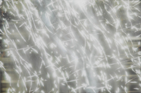 作品画像:HANABI fire works