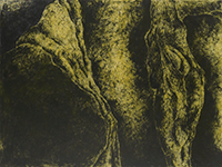作品画像:触 “体-67”