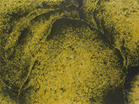 作品画像:触 “体-68”