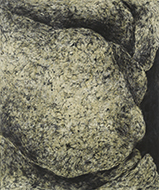 作品画像:触 “体-178”