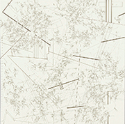 作品画像:なにもない風景を眺める 2014.4-b AICHI