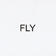インストラクション・ペインティング FLY