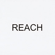 作品画像:インストラクション・ペインティング REACH